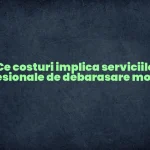 68fff6a16ea61 Ce costuri implica serviciile profesionale de debarasare mobila?